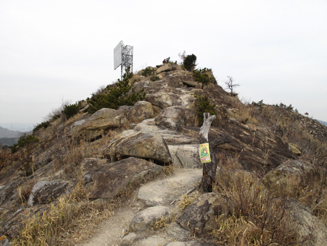 20140125hike (141)